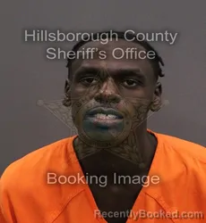 Mugshot of Ricky Javon Napper booked in Hillsborough County, Florida on September 8, 2026