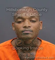 Mugshot of Brian Long Goode booked in Hillsborough County, Florida on September 8, 2026