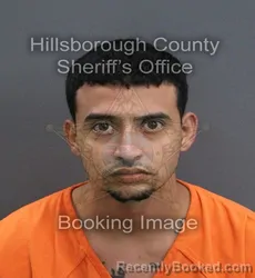 Mugshot of Hanoi Brandon Concepcion booked in Hillsborough County, Florida on September 8, 2026