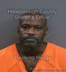 Mugshot of Christopher Fossett booked in Hillsborough County, Florida on September 8, 2026