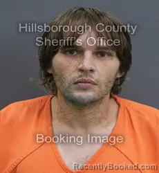 Mugshot of David Ryan Loshaw booked in Hillsborough County, Florida on September 8, 2026