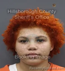 Mugshot of Janai Alyse Johnson booked in Hillsborough County, Florida on September 8, 2026