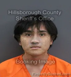 Mugshot of Peter Quang Pham booked in Hillsborough County, Florida on September 8, 2026