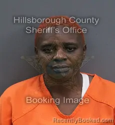 Mugshot of Kimberly Denice Denson booked in Hillsborough County, Florida on September 8, 2026