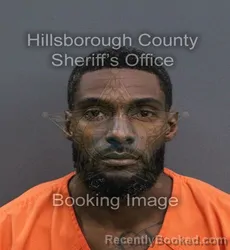 Mugshot of Israel Nattum Louis booked in Hillsborough County, Florida on September 8, 2026