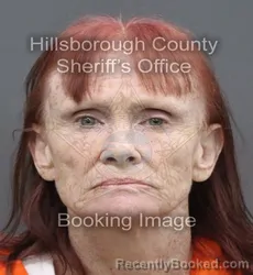 Mugshot of Tammy Rene Burrows booked in Hillsborough County, Florida on September 8, 2026