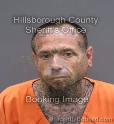 Mugshot of Salvatore Aldo Iv Cretella booked in Hillsborough County, Florida on September 8, 2026