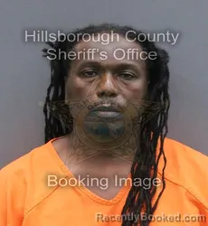 Mugshot of Michael Charles Ingram booked in Hillsborough County, Florida on September 8, 2026