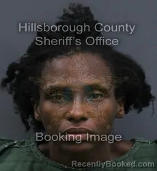 Mugshot of Ashley Nicole Bowden booked in Hillsborough County, Florida on September 8, 2026