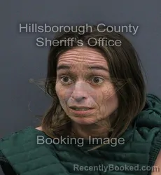 Mugshot of Monique Destinie Spires booked in Hillsborough County, Florida on September 8, 2026