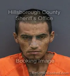 Mugshot of Martin Jr Granado booked in Hillsborough County, Florida on September 8, 2026