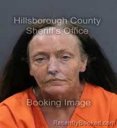 Mugshot of Lisa Marie Demello booked in Hillsborough County, Florida on September 8, 2026