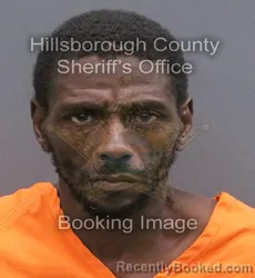 Mugshot of Ronald Anthony Martin booked in Hillsborough County, Florida on September 8, 2026