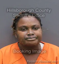 Mugshot of Guerthy Janvier booked in Hillsborough County, Florida on September 8, 2026
