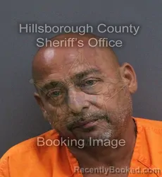 Mugshot of Mark Anthony Labarbera booked in Hillsborough County, Florida on September 8, 2026