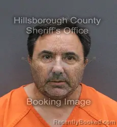 Mugshot of Glenn Ira Greenberg booked in Hillsborough County, Florida on September 8, 2026