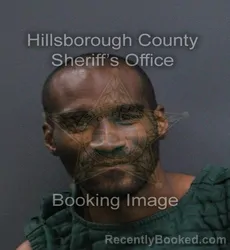 Mugshot of Shakeeb Kester Chin booked in Hillsborough County, Florida on September 8, 2026