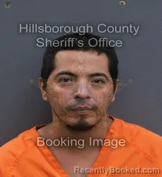 Mugshot of Israel Gonzalez Segura booked in Hillsborough County, Florida on September 9, 2026