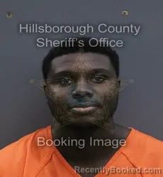 Mugshot of Tyionta Lanadrick Tyion Sellers booked in Hillsborough County, Florida on September 9, 2026