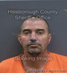 Mugshot of David Allen Ferguson booked in Hillsborough County, Florida on September 9, 2026