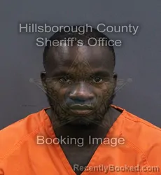 Mugshot of Travis Rodriquez James booked in Hillsborough County, Florida on September 9, 2026