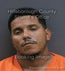 Mugshot of Brandon Luis Gonzalez booked in Hillsborough County, Florida on September 9, 2026