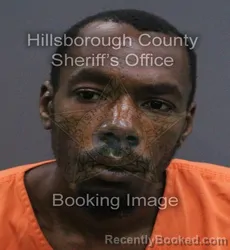 Mugshot of Tyrrell Lamont Murphy booked in Hillsborough County, Florida on September 9, 2026