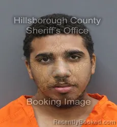 Mugshot of Elijah Keshawn Parris-Salmon booked in Hillsborough County, Florida on September 9, 2026