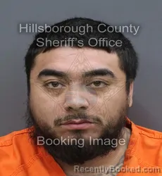 Mugshot of Fabian Geovanny Jr Penafiel booked in Hillsborough County, Florida on September 9, 2026