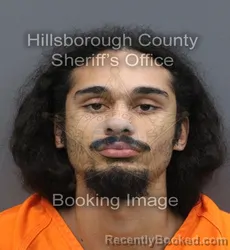 Mugshot of Thomas Lee Rivera booked in Hillsborough County, Florida on September 9, 2026
