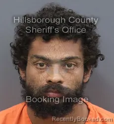 Mugshot of Xavier Mario Salcedo booked in Hillsborough County, Florida on September 9, 2026