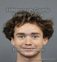 Mugshot of Noah Gregory Zon booked in Hillsborough County, Florida on September 9, 2026