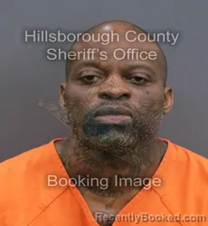 Mugshot of Brandon Lewis Graham booked in Hillsborough County, Florida on September 9, 2026