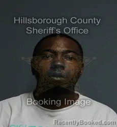 Mugshot of Johnathan Henry Allen booked in Hillsborough County, Florida on September 9, 2026