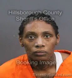 Mugshot of Saraniqua Alexander booked in Hillsborough County, Florida on September 9, 2026