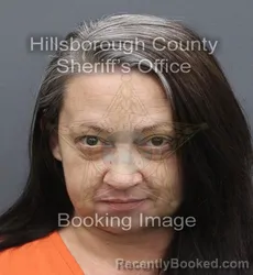 Mugshot of Cheryl Lynn Repko booked in Hillsborough County, Florida on September 9, 2026