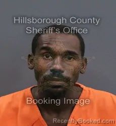 Mugshot of Solomon Lucius Jedediah Jones booked in Hillsborough County, Florida on September 9, 2026