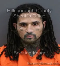 Mugshot of Tyler Joshua Mcnett booked in Hillsborough County, Florida on September 9, 2026