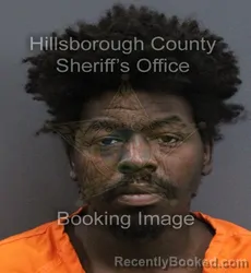 Mugshot of Dehaven Terrance Osley booked in Hillsborough County, Florida on September 9, 2026