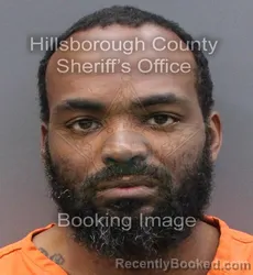 Mugshot of ERROL JOSEPH JAMAIL ABRAMS