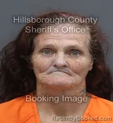 Mugshot of Tammy Lynn Ballard booked in Hillsborough County, Florida on September 9, 2026