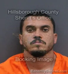 Mugshot of Nigel Kenneth Clark booked in Hillsborough County, Florida on September 9, 2026