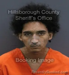 Mugshot of Brandon Jonathan Landaverde booked in Hillsborough County, Florida on September 9, 2026