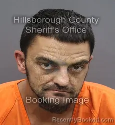 Mugshot of Andrew Roland Bhagwandeen booked in Hillsborough County, Florida on September 10, 2026