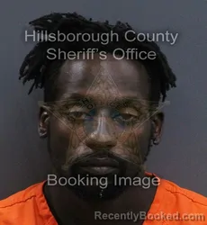 Mugshot of Jonathan Alexander Griffin booked in Hillsborough County, Florida on September 10, 2026