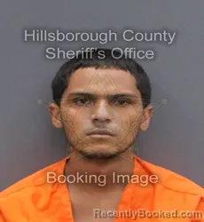 Mugshot of Anthoni Santana Williams booked in Hillsborough County, Florida on September 10, 2026
