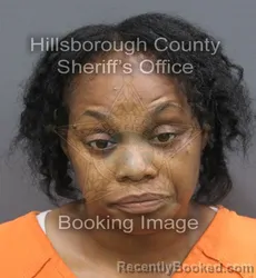 Mugshot of Rhonda Richards booked in Hillsborough County, Florida on September 10, 2026