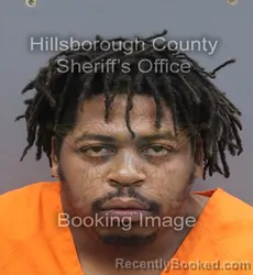 Mugshot of Lyndel Augustine booked in Hillsborough County, Florida on September 10, 2026