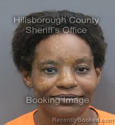 Mugshot of Tiffany Nicole Mitchell booked in Hillsborough County, Florida on September 10, 2026