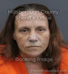 Mugshot of Kristina Maria Duke booked in Hillsborough County, Florida on September 10, 2026